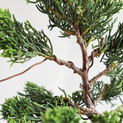 Wazakura Annealed Copper Bonsai Training Wire Made in Japan, Rust Resistant Outdoor Plant Cable