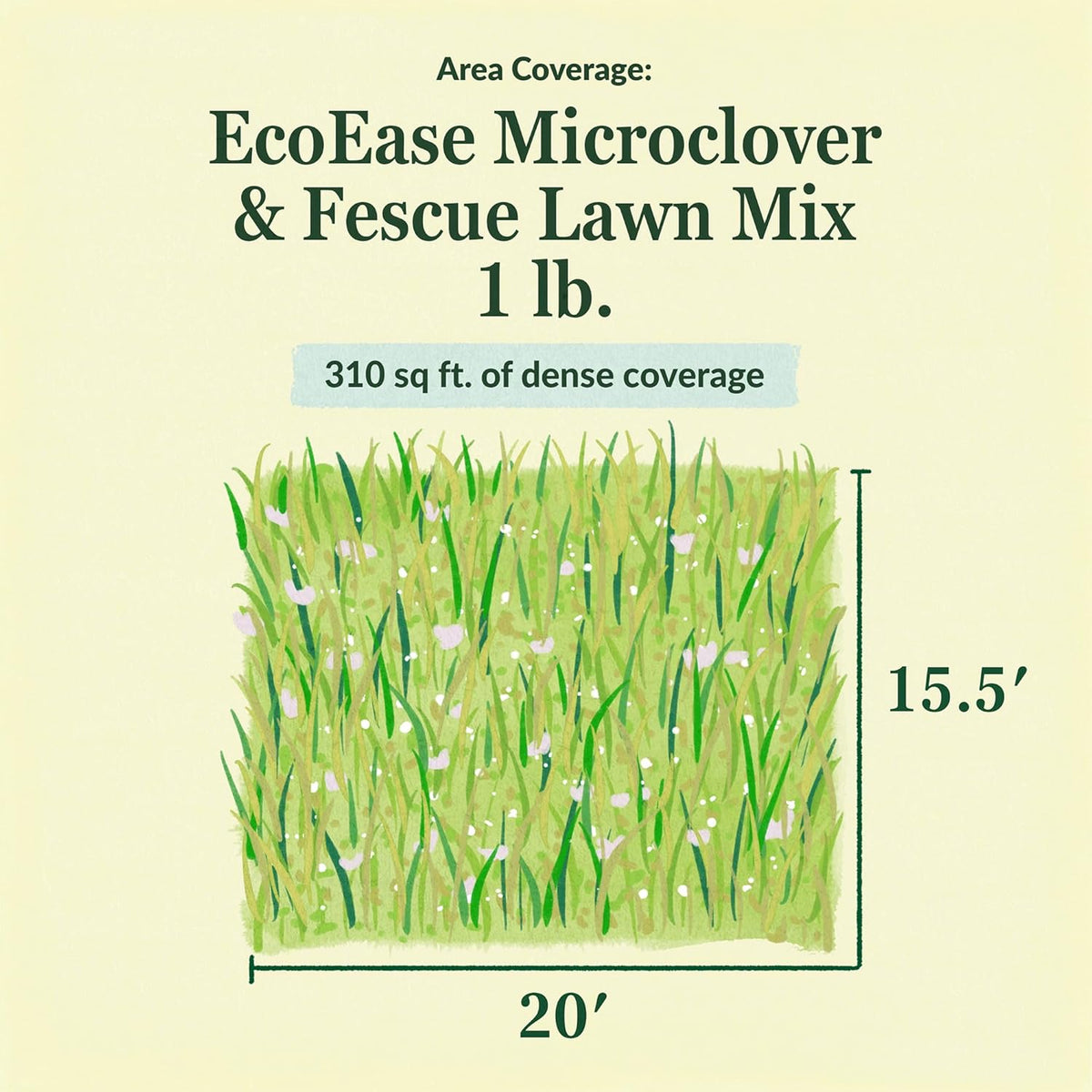 Ferry-Morse EcoEase Microclover and Fescue Low Maintenance Ground Cover Grass Seed Mix, 1lb