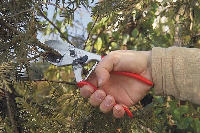 Felco F31 Pruning Shears – 8.3" Garden Clippers with Anvil Blade for Dry & Hard Wood | Hand Pruner