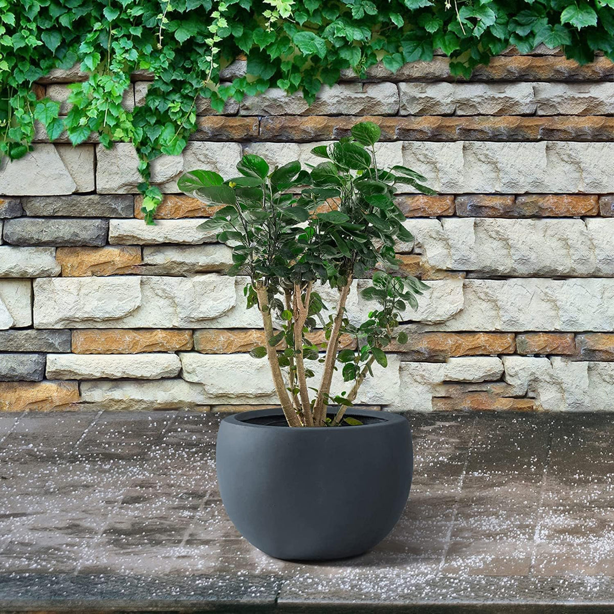 Kante 19.9" Dia Round Concrete Planter, Outdoor/Indoor Large Bowl Plant Pots with Drainage Hole and