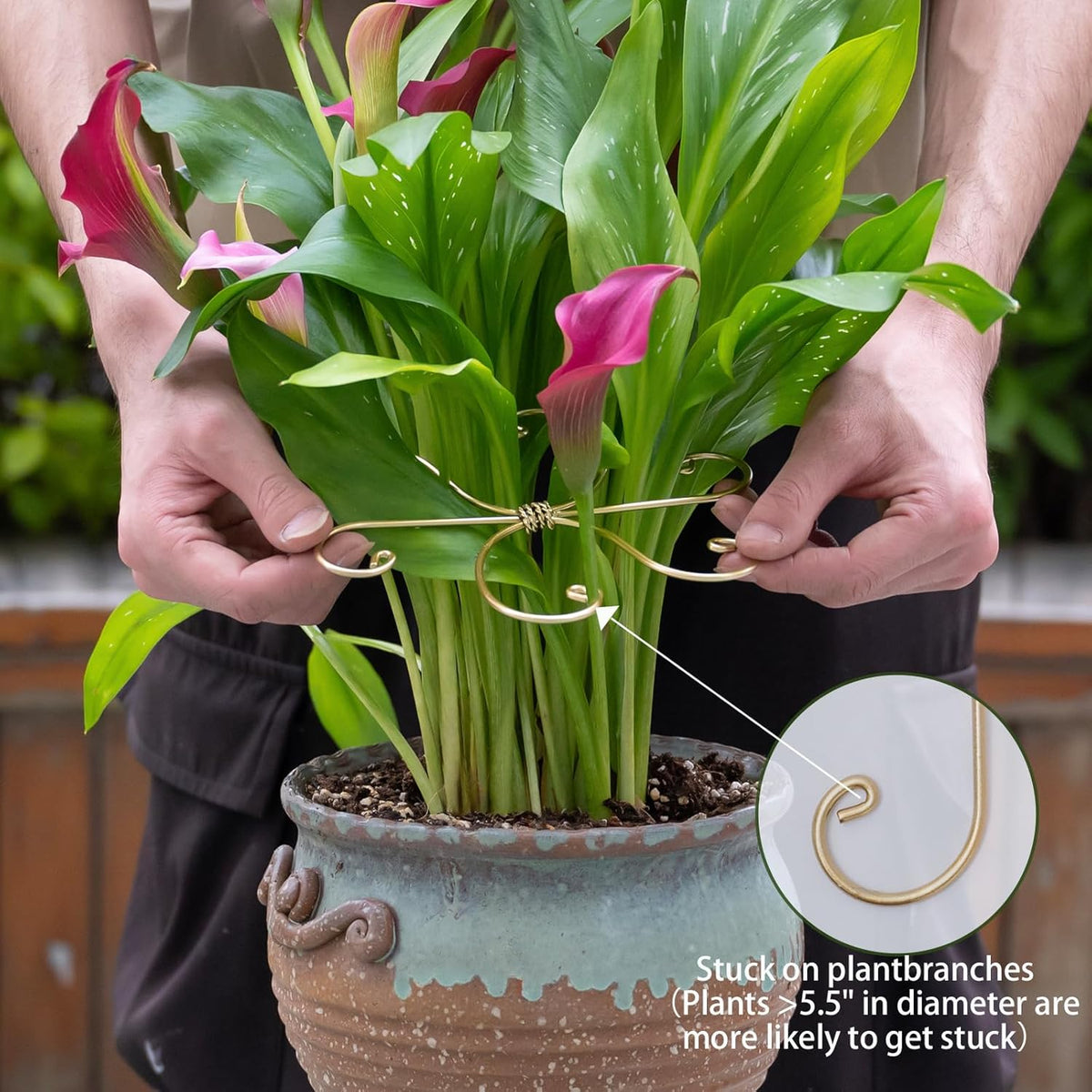 5PCS Monstera Plant Stem Support Stakes - 5.5 * 5.5IN Metal Supports for Monstera and Fishbone