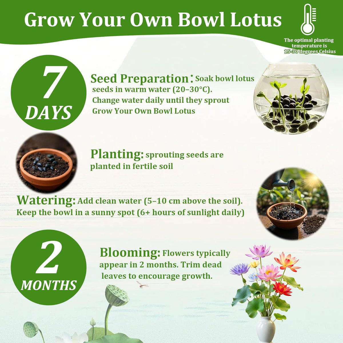 35Pcs Mixed Lotus Seeds for Planting in Water, Colorful Bowl Lotus & Water Lily Flower Seeds for