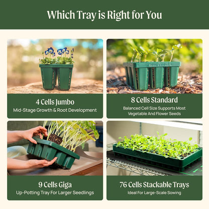 Vego garden Standard Seedling Trays Without Lids, 16 Pack for Seedlings Reusable Propagator Growing