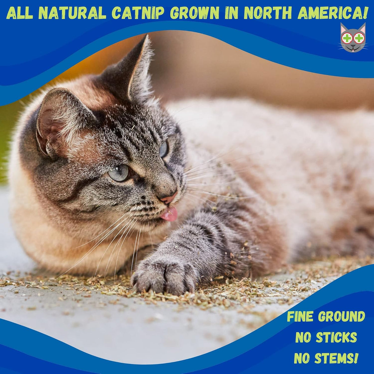 Smokey's Stash Catnip Stalkless Dried Ground Premium Bulk 12 Ounce Bag Strong Cat nip for Cats