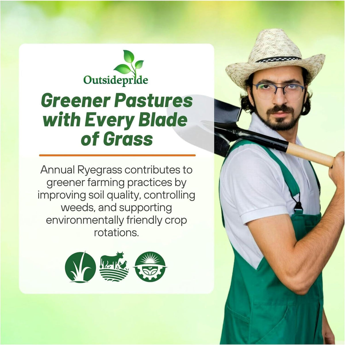 Outsidepride Ryegrass Seeds - 25 lb. Annual, Hardy & Fast-Growing, Cover Crop Seeds for Planting