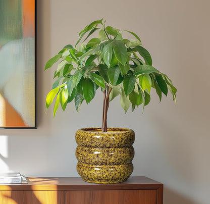 SQOWL Ceramic Planter - 8 Inch Indoor Plant Pot with Drainage Hole, Round Planter for Outdoor