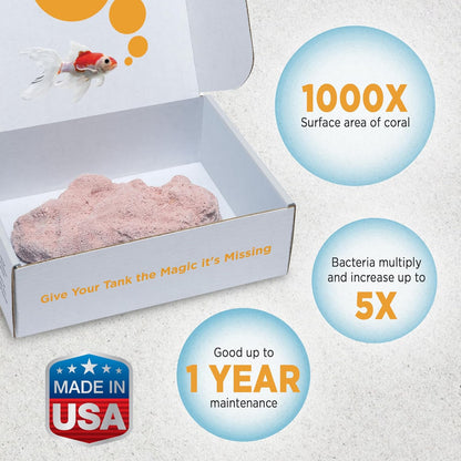 Fish Tank Rocks for Enhancing Water Clarity with Your Regular Cleaning Routine, Fish Friendly