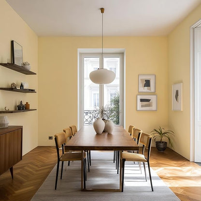 EVOLVE Paint & Primer: Environment-friendly, Low Sheen with One-coat Coverage for Interior &