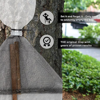 Spotted Lanternfly Tree Trap, Catch Lanternfly Without Catching Other Wildlife, Natural and Non