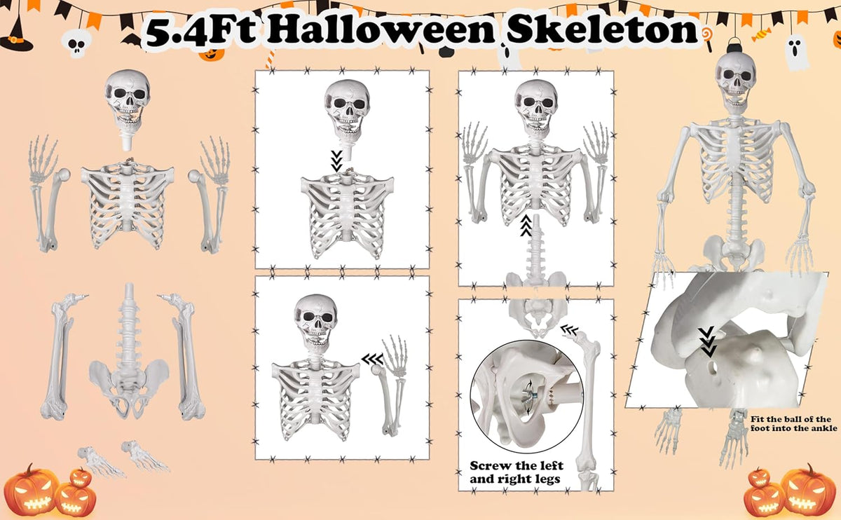 Halloween Skeleton, Realistic Life Size Skeleton with Movable Joints for Halloween Party Haunted
