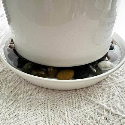 2 Pack 8 Inch Flower Pot Saucers - 9 Inch (8.7 Inch) Ceramic Plant Saucer for Outdoors & Indoors