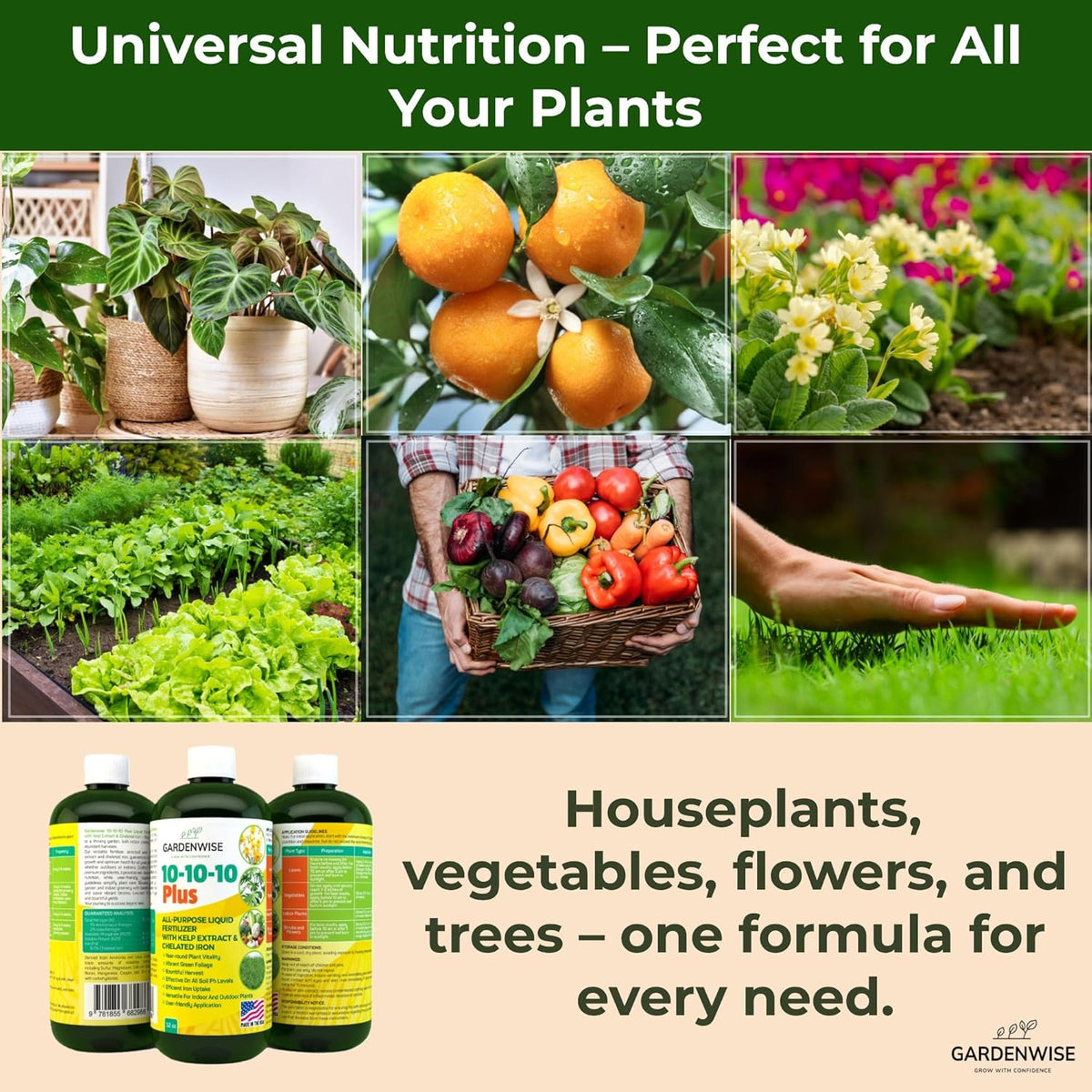 10-10-10 All Purpose Plant Food - Liquid Fertilizer with Seaweed Kelp & Iron - Indoor & Outdoor