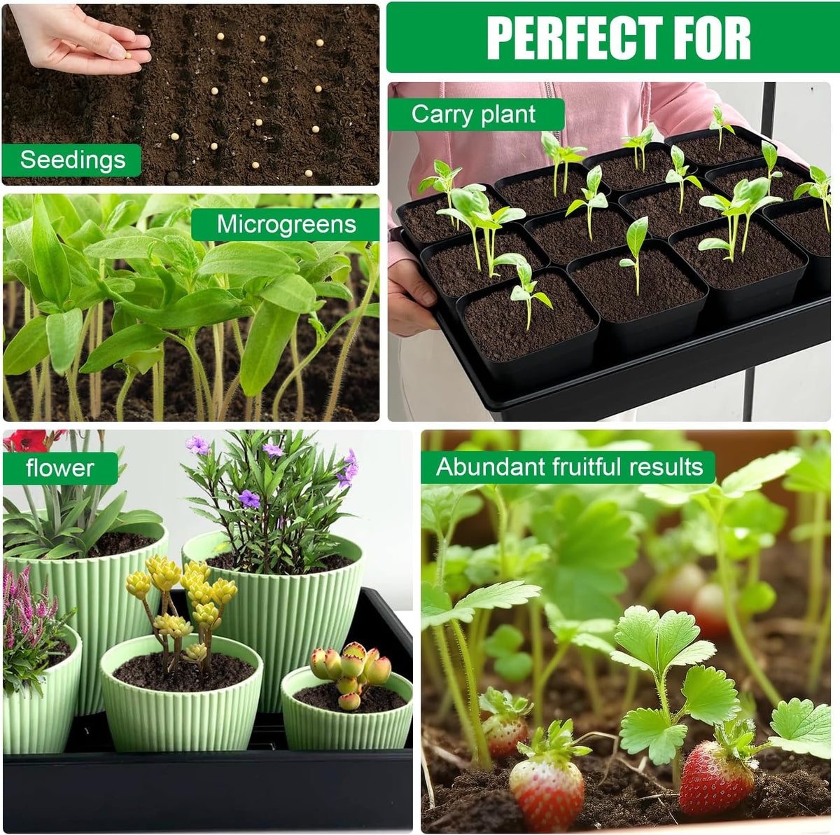 Seed Starter Tray, 5 Packs Plant Tray, Durable Plastic Growing Trays, Stackable Seedling Starter