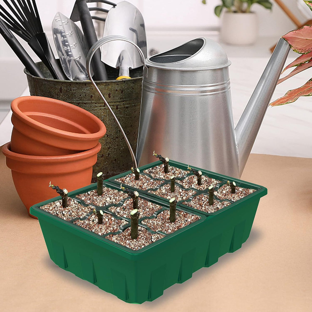 Gardzen 10-Set Garden Propagator Set, Clear Seed Tray Kits with 120-Cell, Seed Starter Trays with