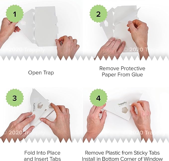 Trappify Fly Trap Indoor: Window Fly Traps for Home | Fruit Fly Traps for Indoors, Gnat Traps for