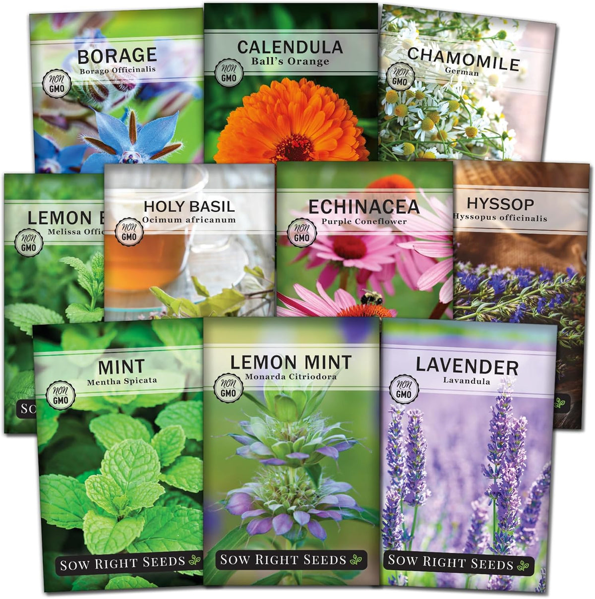 Sow Right Seeds - Large Herbal Tea Garden Seed Collection for Planting - Lemon Balm, Mint