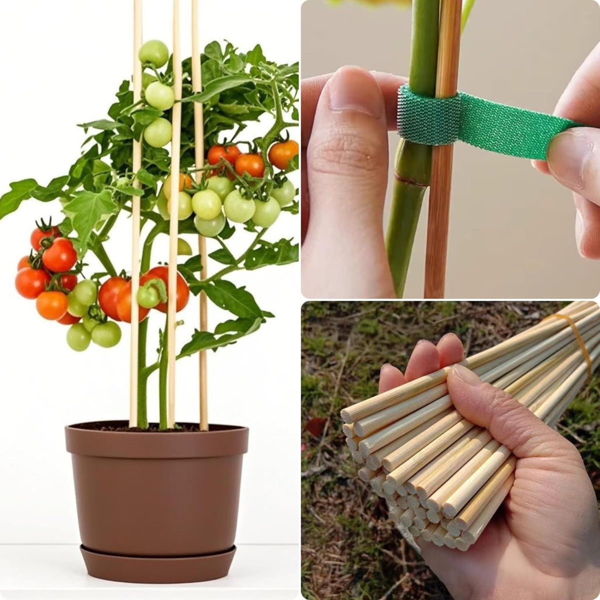125 PCS 2.5FT Bamboo Plant Stakes 6.3mm Thick – 30-Inch Bamboo Sticks for Plants, Tomatoes, Beans