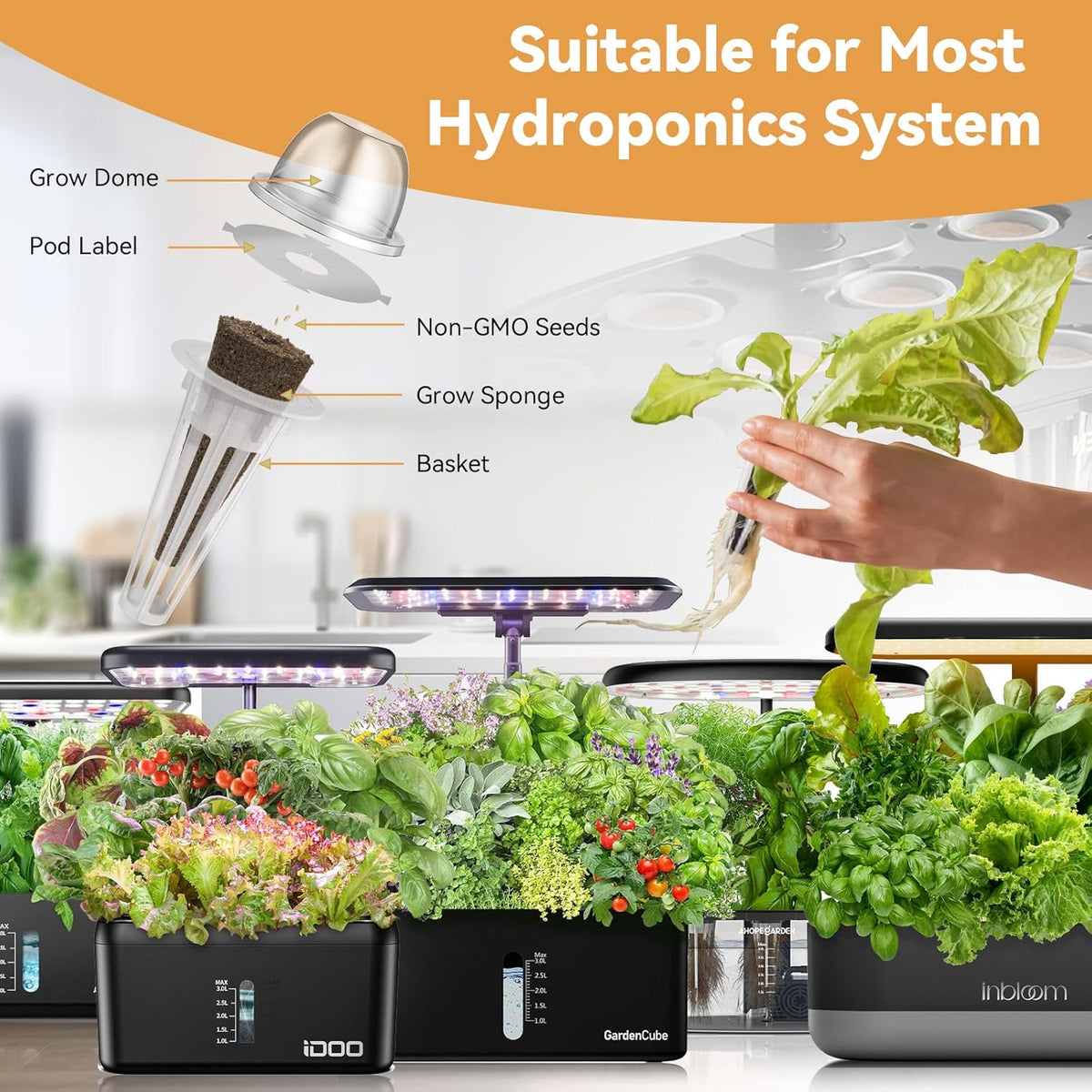 inbloom Vibrant Wildflower & Fruit Mixd Seed Pod Kit for AeroGarden, Ahopegarden Hydroponics