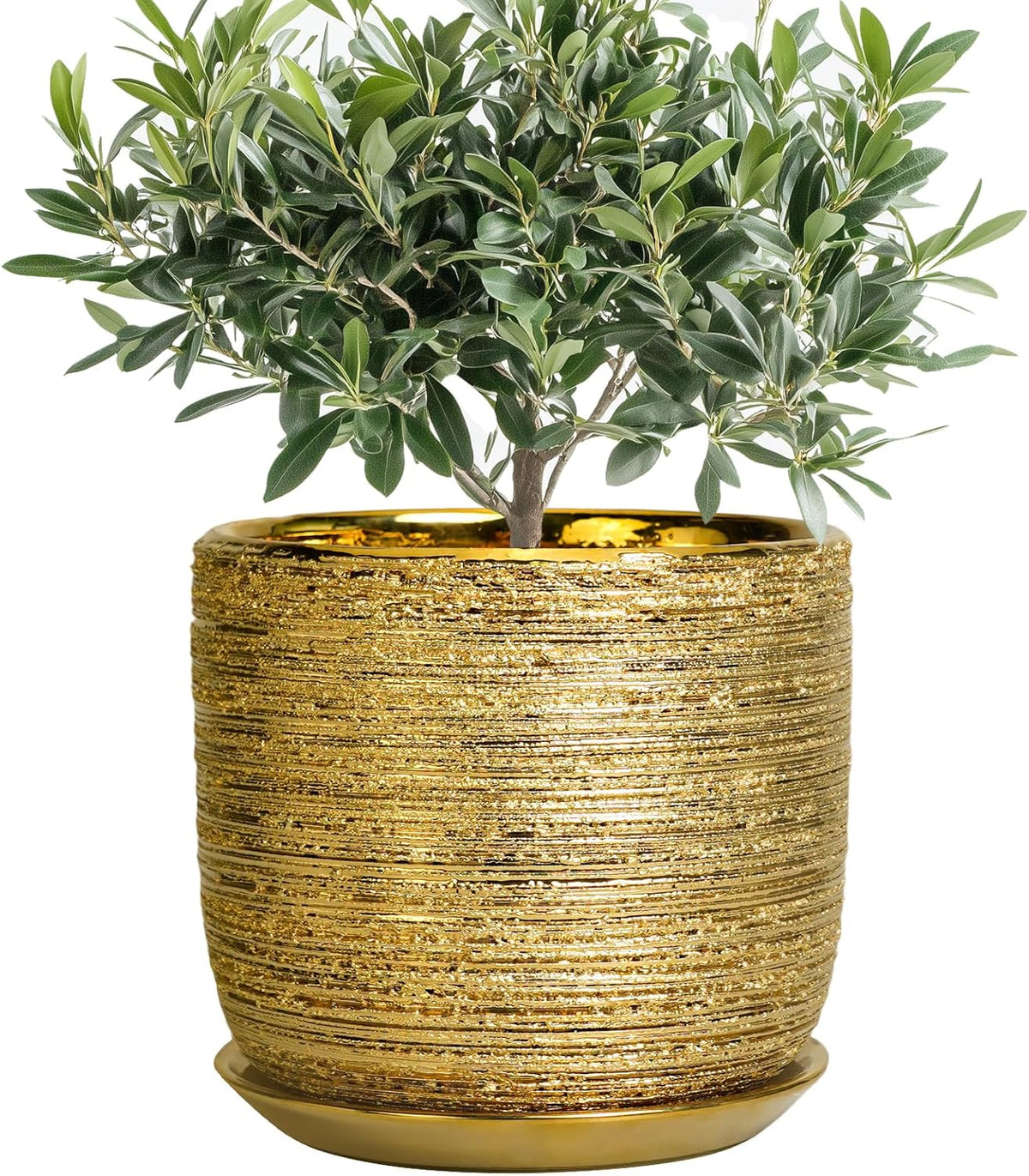 8 Inch Plant Pot - Ceramic Planter with Drainage Hole and Saucer, Modern Round Planter for Indoor