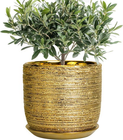 8 Inch Plant Pot - Ceramic Planter with Drainage Hole and Saucer, Modern Round Planter for Indoor