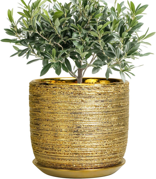 8 Inch Plant Pot - Ceramic Planter with Drainage Hole and Saucer, Modern Round Planter for Indoor