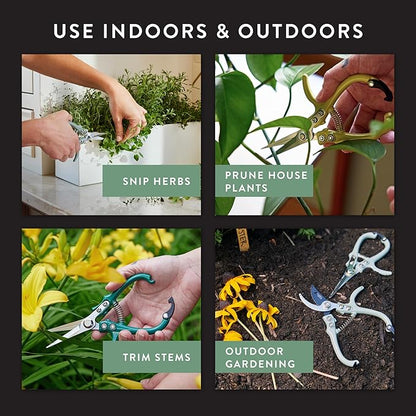 Modern Sprout Pruning Shears - Herb Snipping Scissors- Lightweight Gardening Tools W/Easy Lock