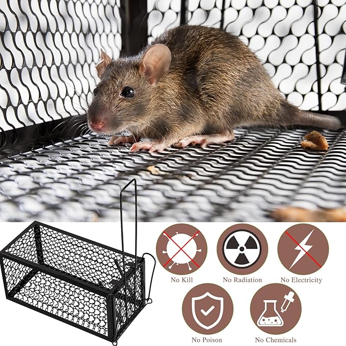 Qualirey 4 Pcs Humane Rat Trap Chipmunk Rodent Mouse Squirrel Trap Small Live Animal Mouse Voles