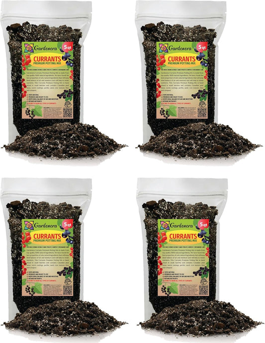Gardenera Premium Currant Plant Potting Soil Mix - Optimal Nutrient-Rich Blend for Thriving and