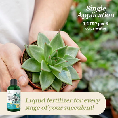 Professional Liquid Succulent Plant Fertilizer | 3-1-2 Concentrate for Plants and Flowers |