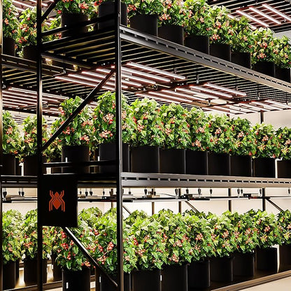Spider Farmer G8600 Cost-Effective 800W LED Grow Lights, 4x4ft/5x5ft Coverage Commercial Bar Style