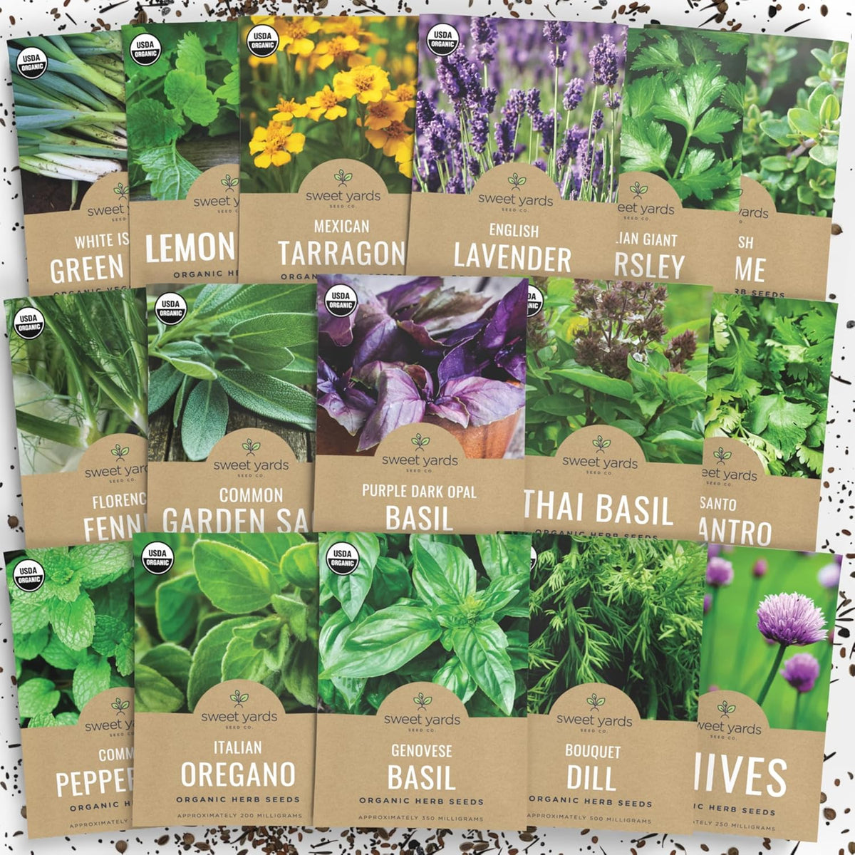 Organic Herb Seeds Variety Pack - 16 Individual Packs - 2025 Season - Basil, Cilantro, Dill, Thyme