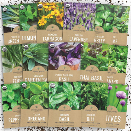 Organic Herb Seeds Variety Pack - 16 Individual Packs - 2025 Season - Basil, Cilantro, Dill, Thyme