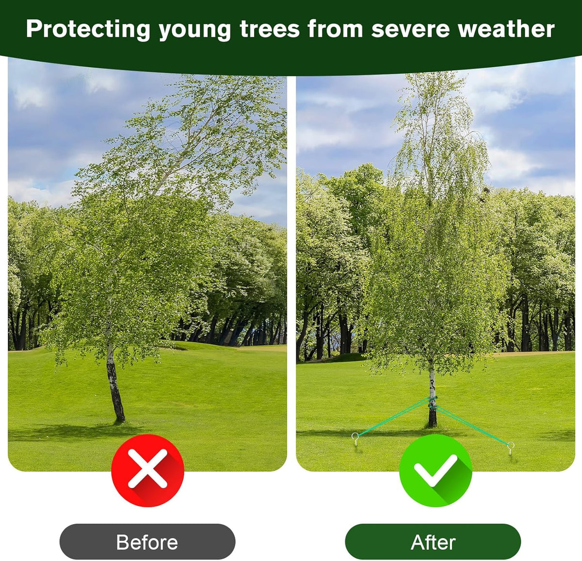 A Tree Support kit for straightening Trees, which Includes Supporting Metal Stakes and Ropes. It