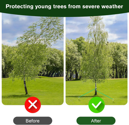 A Tree Support kit for straightening Trees, which Includes Supporting Metal Stakes and Ropes. It
