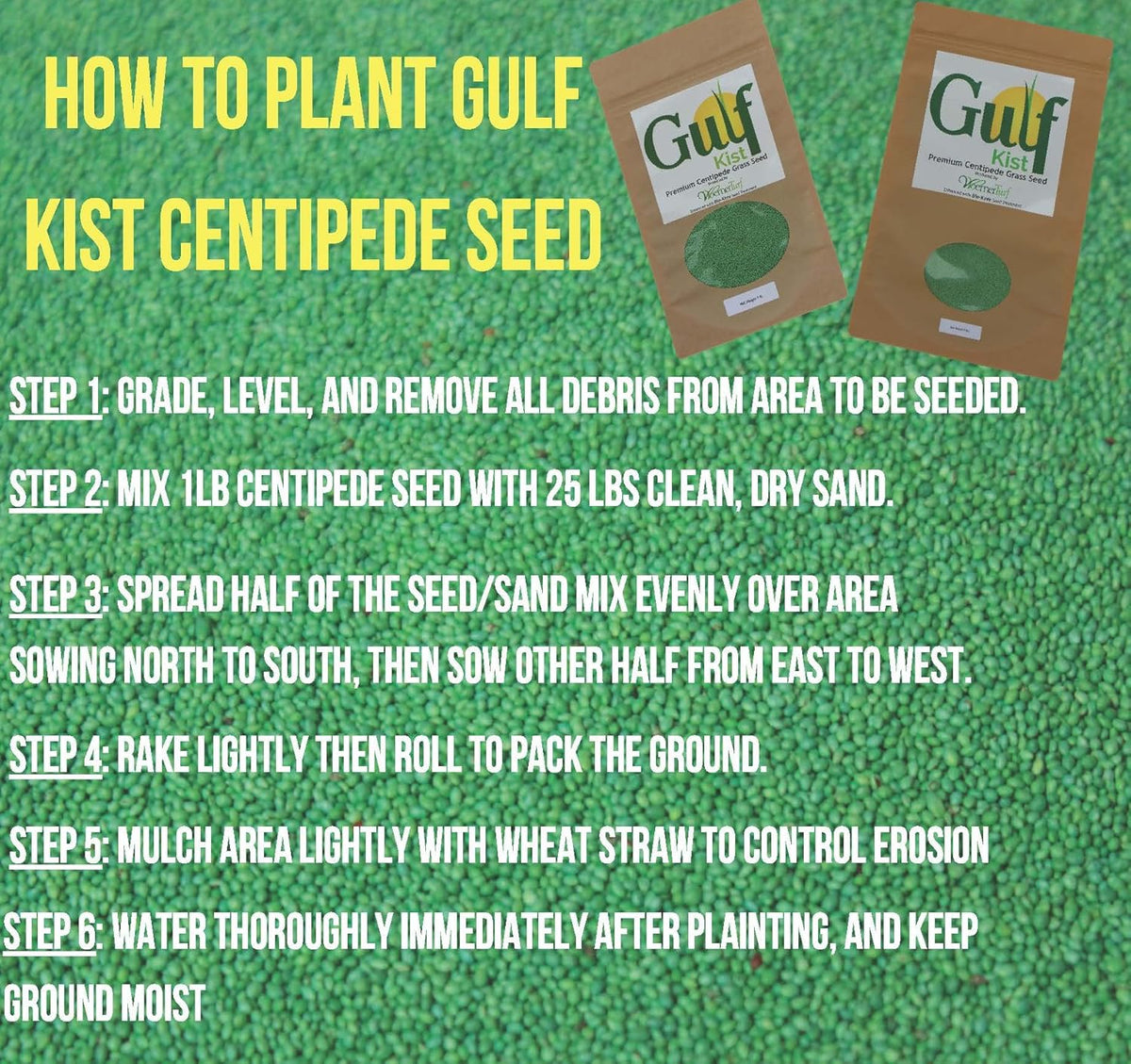 Centipede Grass Seed for a Dense Green Lawn, NO Mulch, 1 lb Coated Seeds, Sun and Moderate Shade