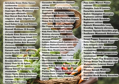 B&KM Farms 30,000+ Survival Seed Kit 5+ Year Supply. 50 Fruit & Vegetable Non-GMO Heirloom Seeds