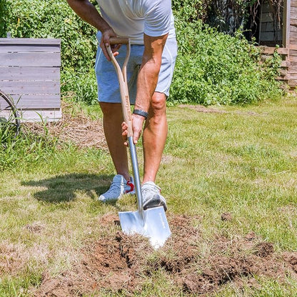 Berry&Bird Shovels for Digging, 43’’ Round Spade Heavy Duty Shovel with Wooden D Handle Stainless