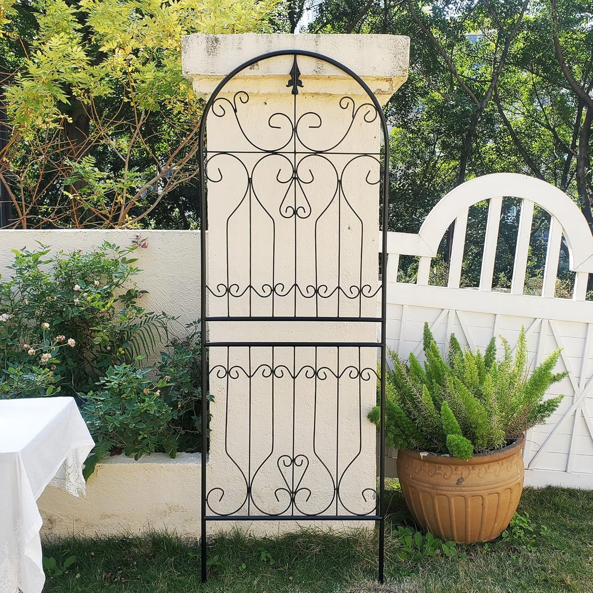 SCENDOR Trellis for Climbing Plants 70.8" H x 24.5" W Metal Premium Quality Material Rust-Resistant