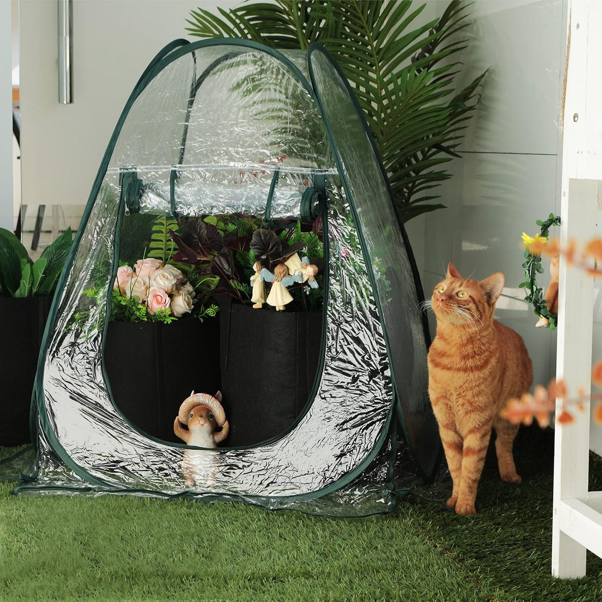 Gardzen 27"x27"x31" Pop up Grow Greenhouse Small Greenhouse, Portable Plant Flowers Mini Green