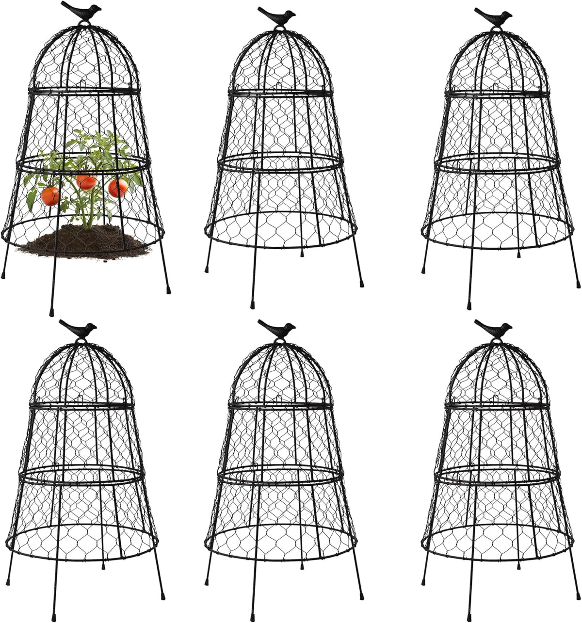 Pack of 6 Heavy-Duty Chicken Wire Plant Cloches – Rustproof Garden Protectors and Plant Cages for