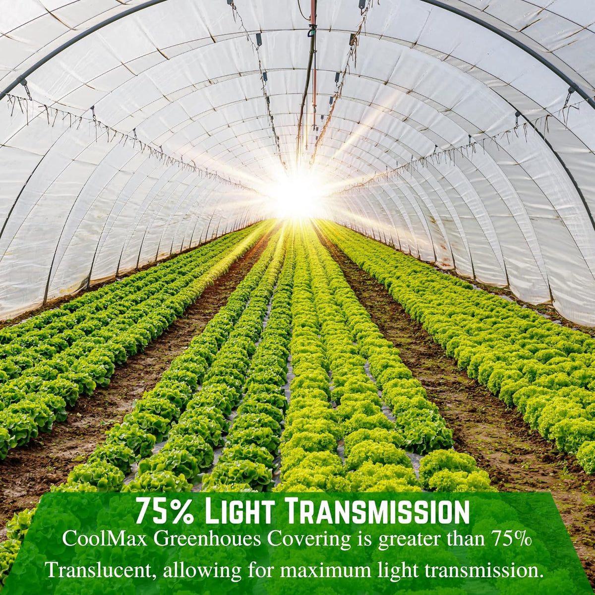 Farm Plastic Supply - Clear Coolmax Greenhouse Plastic Sheeting - 6 Mil - 4 Year UV Resistant