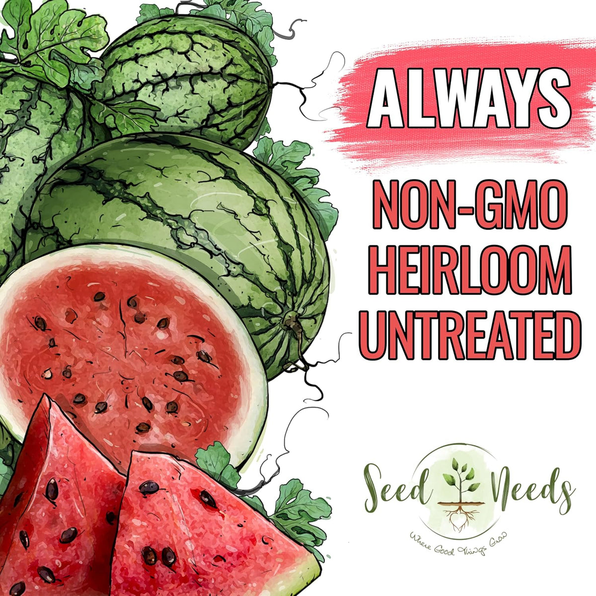 Seed Needs Watermelon Seeds for Planting Fruits - Non-GMO Heirloom & Untreated Water Melon Seed to