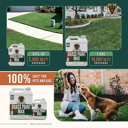 PetraMax Max Grass Paint for Lawn - Maintain Perfect Green Grass, Spray for Lawn & Shrubs Green