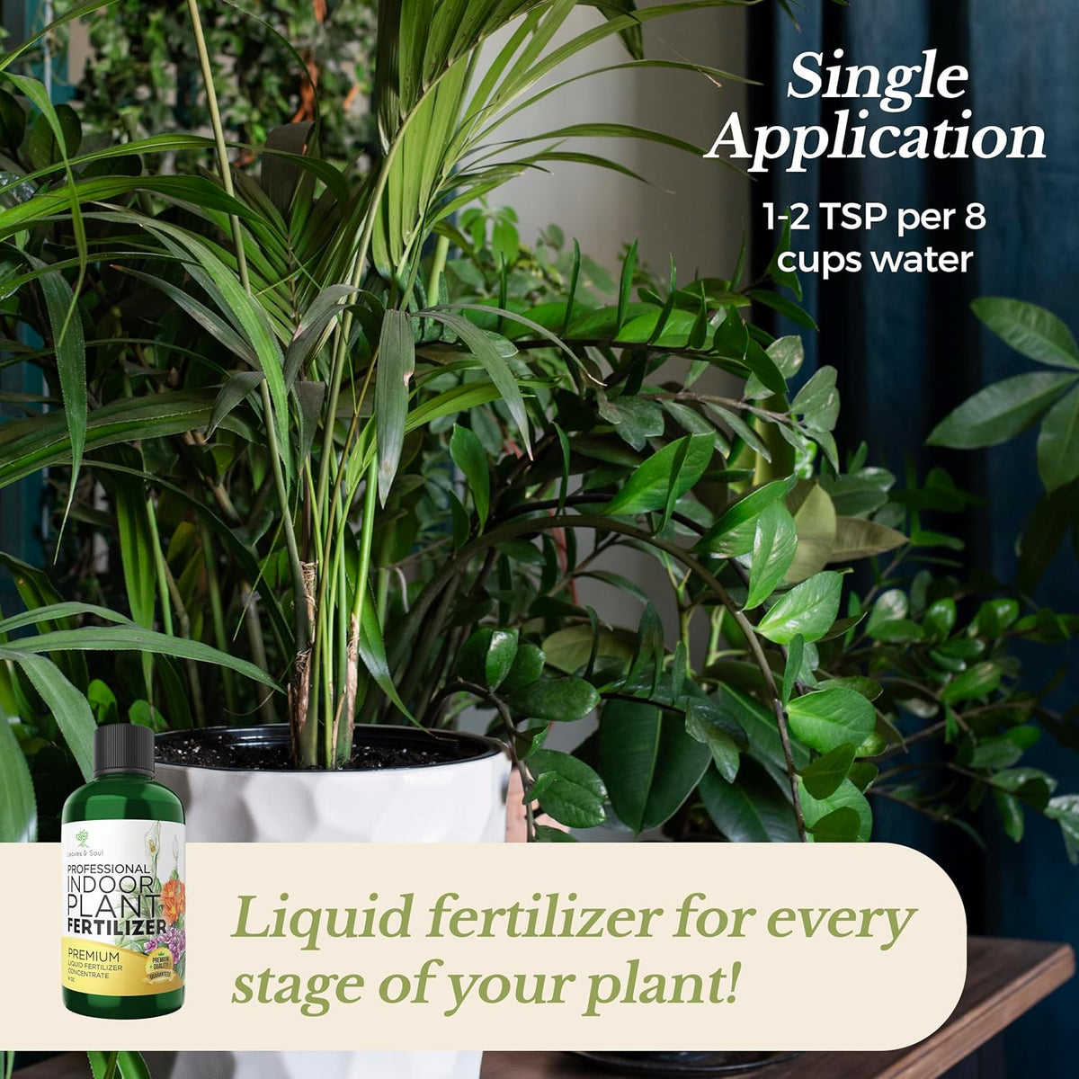 Professional Liquid Indoor Plant Fertilizer | 3-1-2 Concentrate for Plants and Flowers |