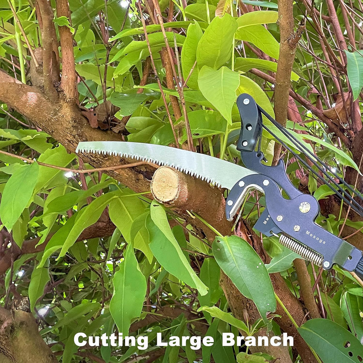 5-13FT Tree Trimmer Telescopic, Pole Saw & Pruner for Trimming, Pruning Saw Extendable, Long Handle