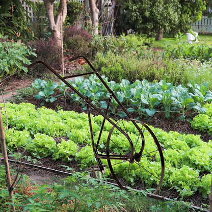 EarthWay 6500 High Wheel Tubular High Wheel Cultivator with Comfort Handle with 3- Position