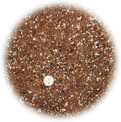 Gardenera Professional Carnivorous Plant Soil - Ready to Use for Venus Flytraps, Sundews, Pitcher