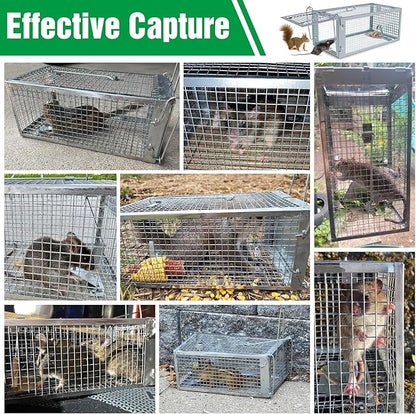 4 Packs Humane Rat Trap Outdoor, Wanqueen Humane Mouse Traps Indoor, Small Rodent Chipmunk Squirrel