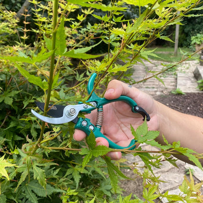 Modern Sprout Hand Pruners - Lightweight Pruning Shears W/Easy Lock- Gardening Scissors - Bypass