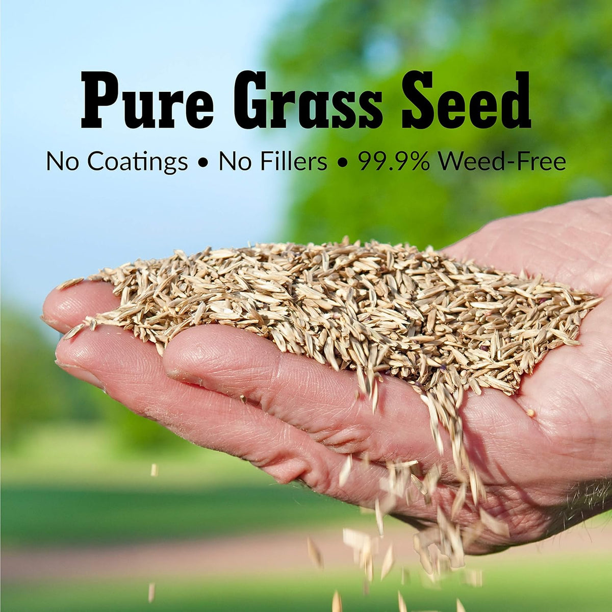 GreenView Pure Grass Seed Turf Type Tall Fescue Sun & Shade Blend, 7 lb. Bag – Covers up to 1,750
